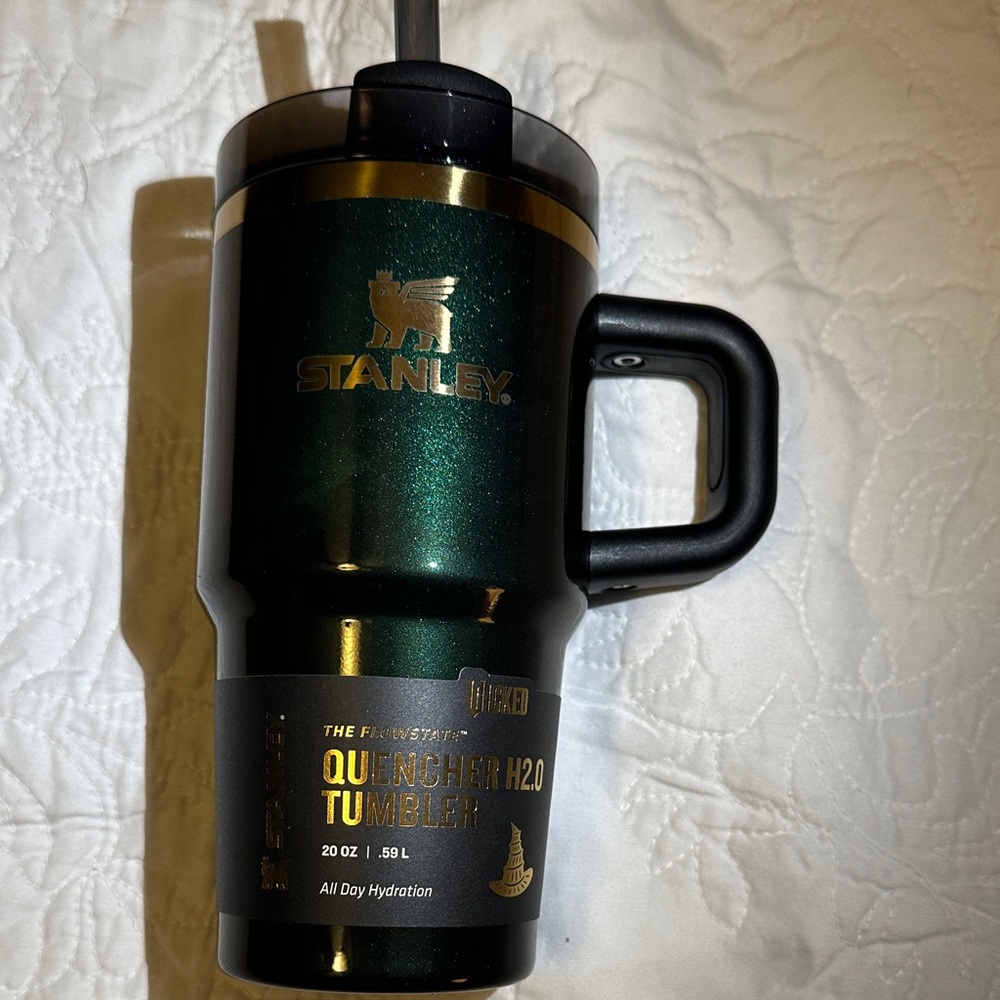 Stanley x Wicked 2025 Elphaba for Good 20 Oz Tumbler New Green Purple